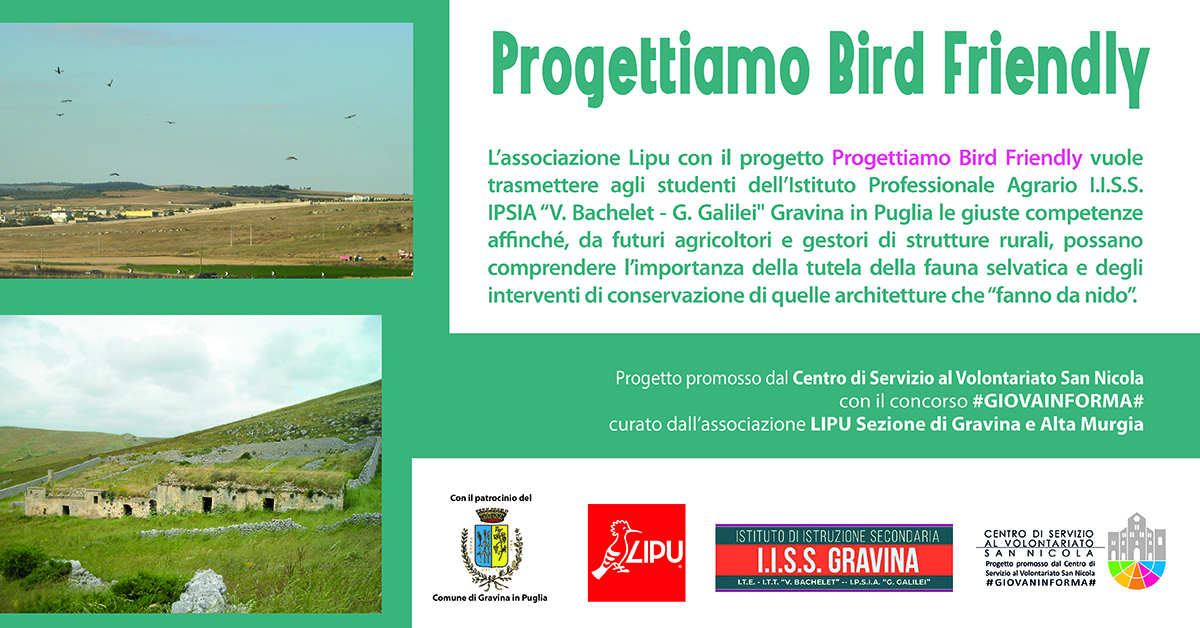 Banner Progettiamo Bird Friendly #GIOVANINFORMA LIPU Gravina CSV San Nicola